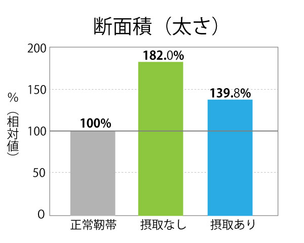 エラスチンによる靭帯損傷の修復にともなう断面積の変化