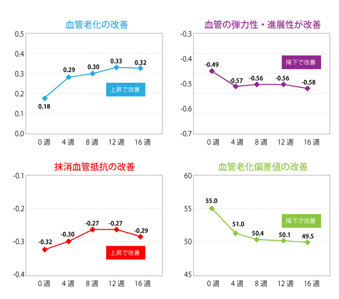 血管へのエラスチン効果