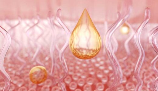 コラーゲン効果３倍の黄金比／ビタミンC・B群が支配する線維合成