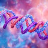 コラーゲンの三重らせん構造