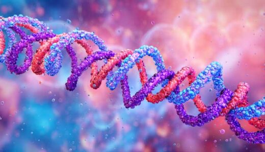 線維芽細胞を覚醒！スポコラ２包８週間で引き起こす組織リモデリングの科学