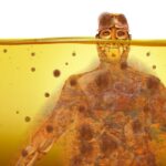 そのトランス脂肪酸、運動の敵かも