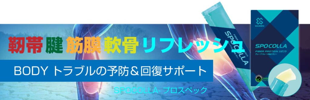 SPOCOLLA-Banner