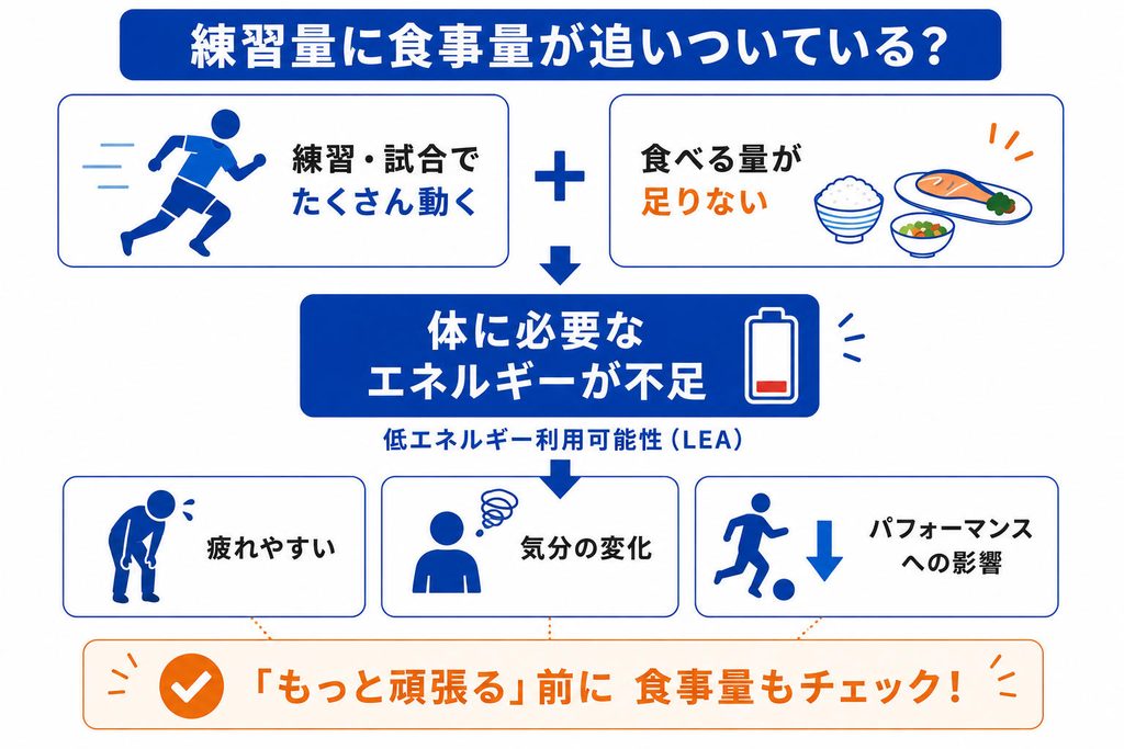 練習や試合で多くのエネルギーを使う一方、食事量が足りないと低エネルギー利用可能性（LEA）につながり、疲労や気分、パフォーマンスに影響する可能性がある。