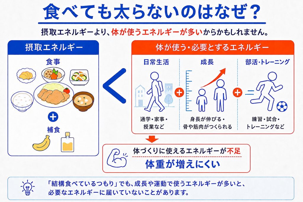食べても太らないのはなぜ？ 摂取エネルギーより、日常生活・成長・部活やトレーニングで使うエネルギーが多いと、体づくりに必要なエネルギーが不足し、体重が増えにくくなることを示す図。食事に加えて、バナナやエネルギーゼリーなどの補食をとることを勧めている。