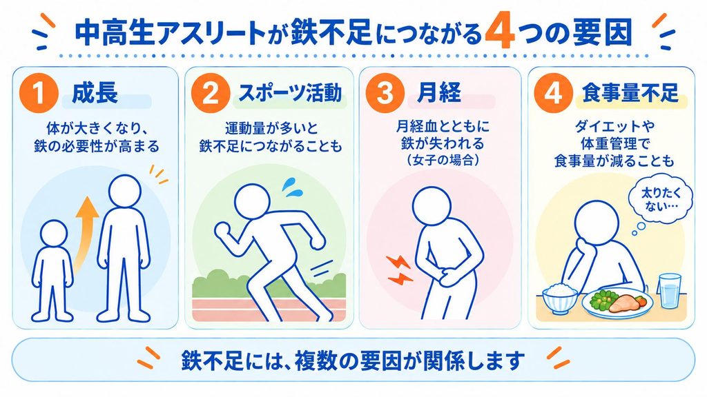 中高生アスリートの鉄不足につながる4つの要因。成長、スポーツ活動、月経、食事量不足があり、複数の要因が関係することを示した図解。