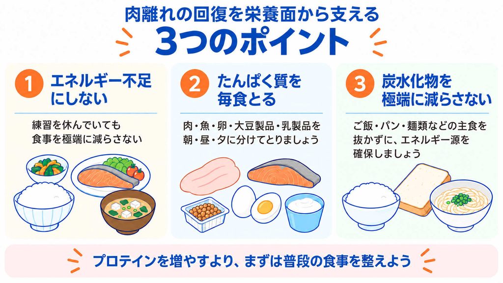 肉離れの回復を栄養面から支える3つのポイント。エネルギー不足を避け、たんぱく質を毎食とり、炭水化物を極端に減らさないことを示した図解。