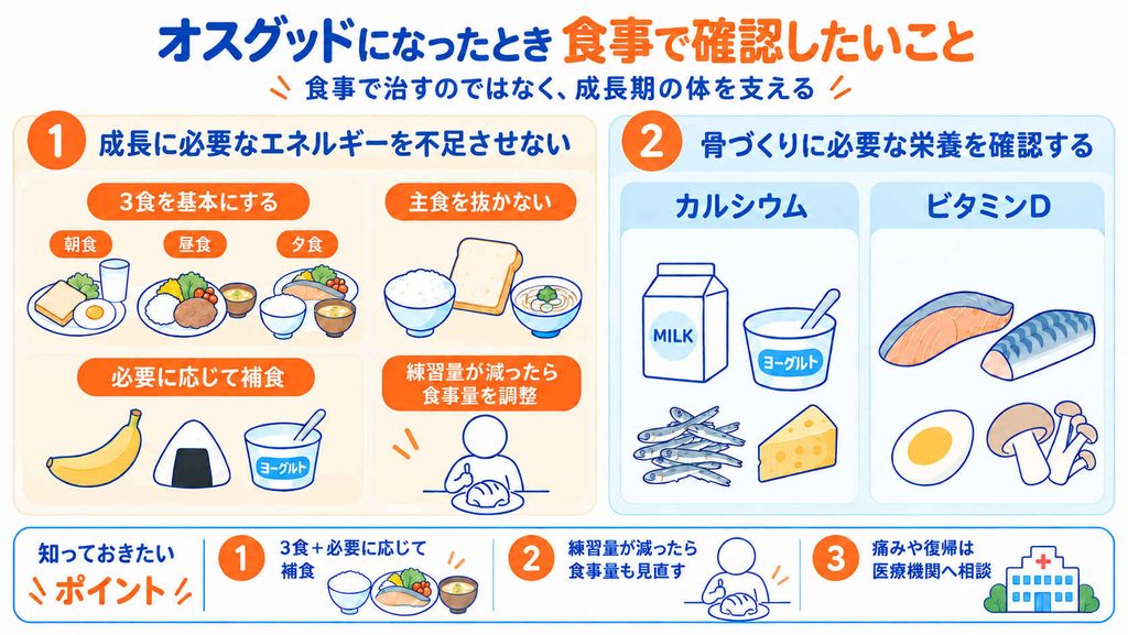 オスグッドになった成長期アスリートが食事で確認したいエネルギー不足、カルシウム、ビタミンDのポイントを示した図解