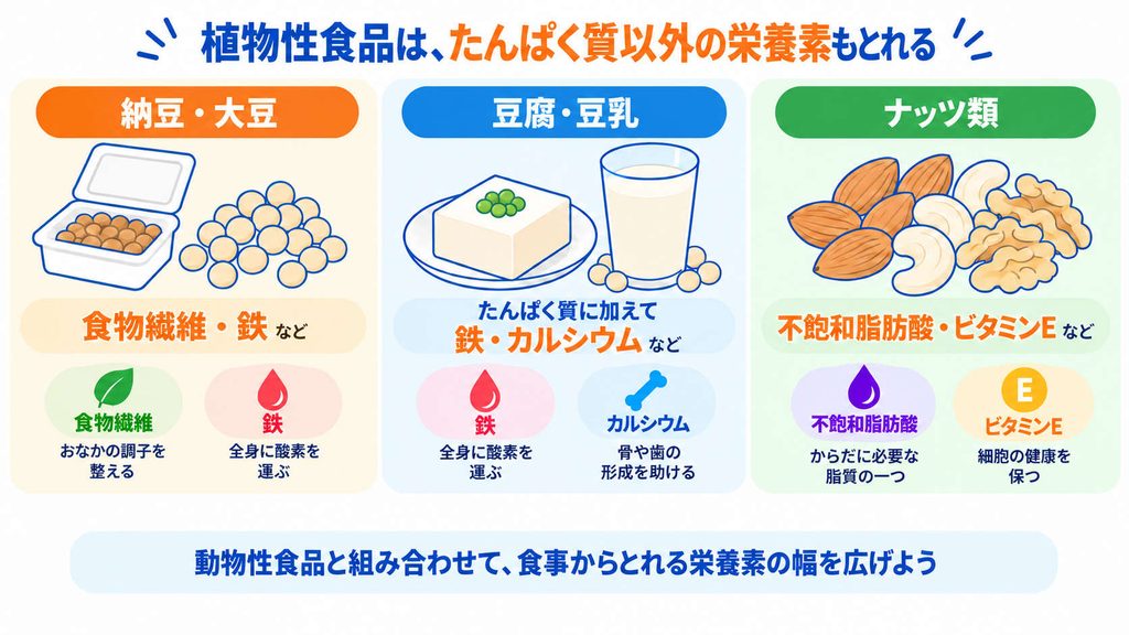 植物性たんぱく質を含む食品の栄養面のメリットを紹介した図解。納豆・大豆には食物繊維や鉄、豆腐・豆乳には鉄など、ナッツ類には不飽和脂肪酸やビタミンEが含まれ、動物性食品と組み合わせることで摂取できる栄養素の幅が広がることを説明。