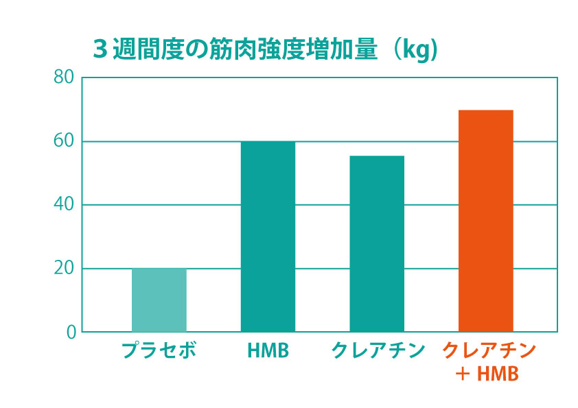 HMB+クレアチン効果