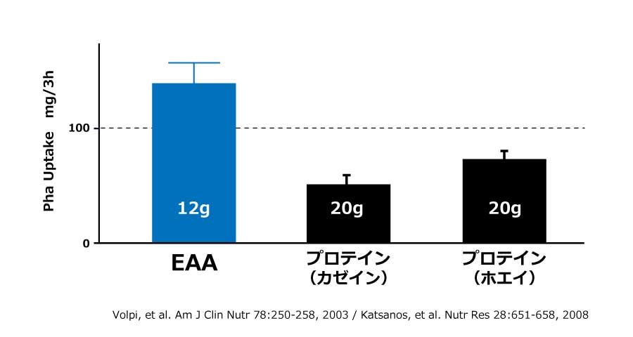 EAAとプロテインの筋合成量の違い