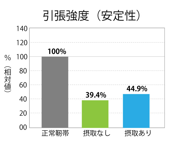 エラスチン摂取による引張力の向上