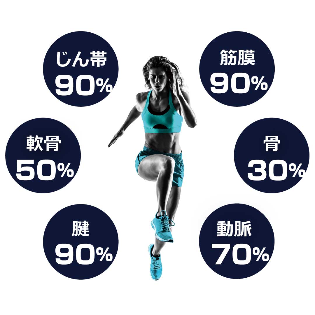 可動域を構成する成分の9割を配合