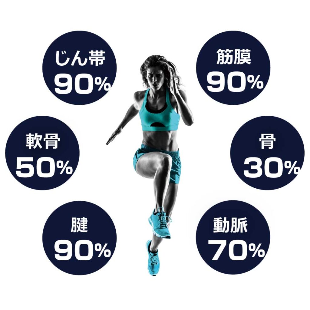 各部位のファイバープロテイン割合